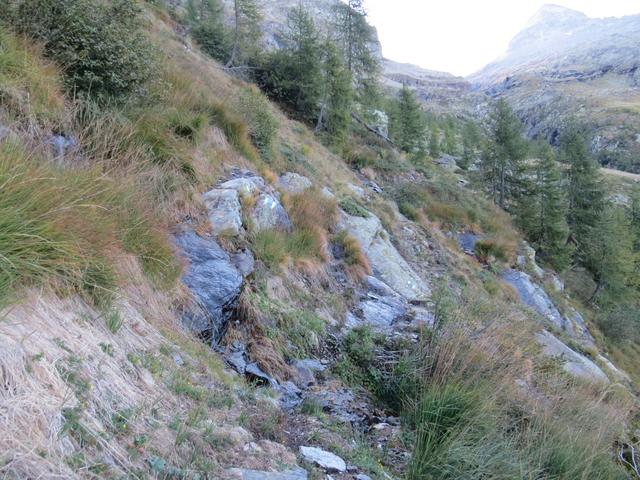 wir befinden uns weiterhin auf der Via Alta Valle Maggia. Eine der anspruchsvollsten Wandertour im Tessin