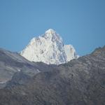 der Blick reicht bis zum Lauteraarhorn!