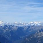 Blick zu den Walliser Alpen