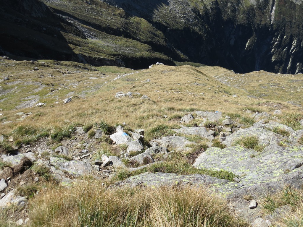 die Wegspur folgt zuerst der Falllinie...