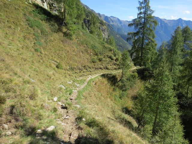 anders als die Alpe Pertüs wird die Alpe della Redòrta noch bewirtschaftet