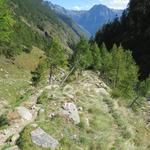 auf einfachem Wanderweg, geht es nun etwas sanfter, weiter talwärts