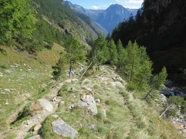 auf einfachem Wanderweg, geht es nun etwas sanfter, weiter talwärts