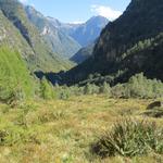 bei Punkt 1195 m.ü.M. mit Blick in das Val Redòrta