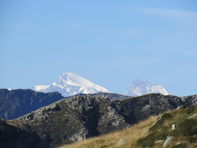 ...und in den Walliser Alpen