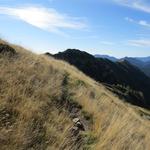 ... wegen der schönen Aussicht auf die Tessiner Bergwelt