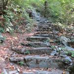 der Weg führt nun steil durch den Wald über Hunderte von mühsam geschichteten Treppenstufen aus schweren Gneis