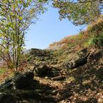 wir wandern nun über den schmalen, das Valle di Giumaglio vom Valle Maggia trennenden Rücken...