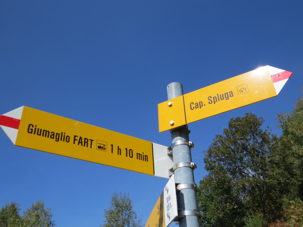 ...und nehmen den luftigeren aber aussichtsreicheren Bergweg unter die Füsse