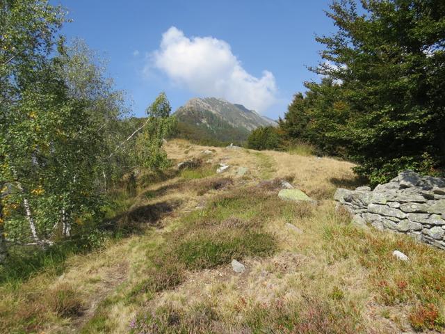 Blick hinauf zum Punta di Spluga. Der Bergweg biegt aber vorher rechts ab