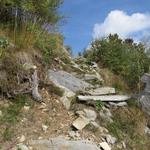 der Wald weicht nun langsam niederem Buschwerk