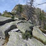 bei ca. 1900 Meter, biegt der Bergweg rechts ab...