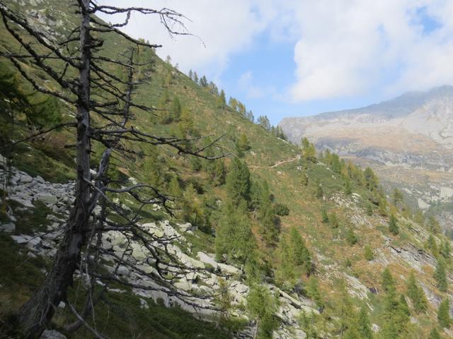 ...laufen wir in dieser grossartigen wilden, ursprünglichen Bergwelt...