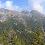 schönes Breitbildfoto in das Valle di Giumaglio