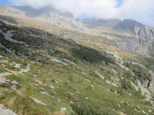 vor über 100 Jahren wurde die Alpe di Spluga mit 27 Kühen, 150 Ziegen sowie mit Kälbern, Rindern und Schweinen bestossen