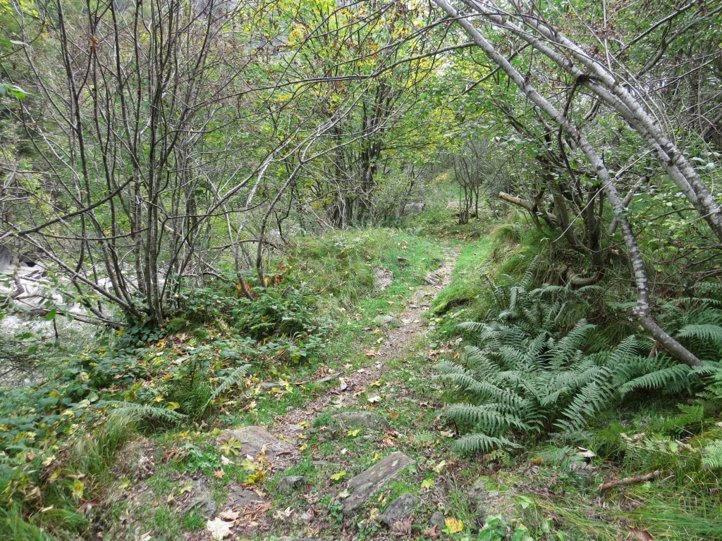 das Val d’Osura, ein Seitental des Verzascatals, auch Val Osola genannt...