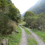 wie in Arnasèd 1027 m.ü.M. (gerade vorbeigelaufen) und weiter bis nach Brione...