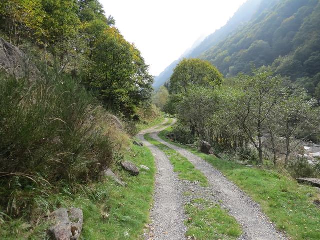 wie in Arnasèd 1027 m.ü.M. (gerade vorbeigelaufen) und weiter bis nach Brione...