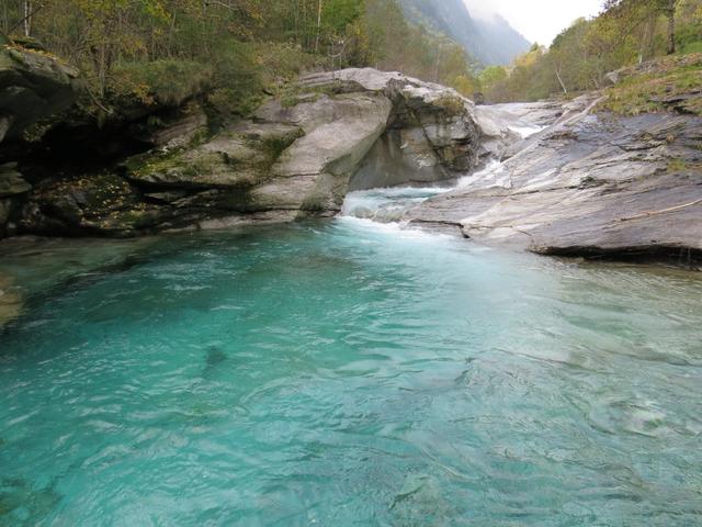 das Wasser ist leider viel zu kalt um hineinzuspringen