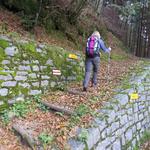 wir biegen rechts ab und folgen dem Wanderweg der einen kleinen Rechtsbogen macht