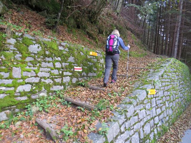 wir biegen rechts ab und folgen dem Wanderweg der einen kleinen Rechtsbogen macht