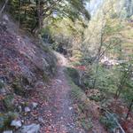 der Wanderweg zieht sich an orographisch rechten Flanke, des Val Tomè hinauf