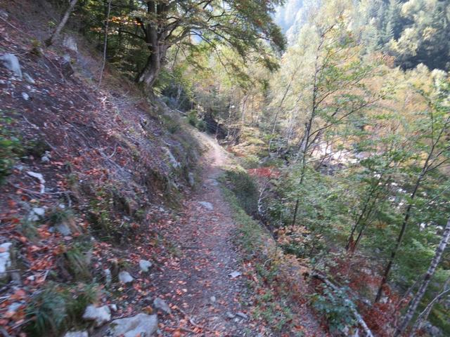 der Wanderweg zieht sich an orographisch rechten Flanke, des Val Tomè hinauf