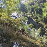 während dem Wandern begleitet uns das Rauschen des Ri di Tomè