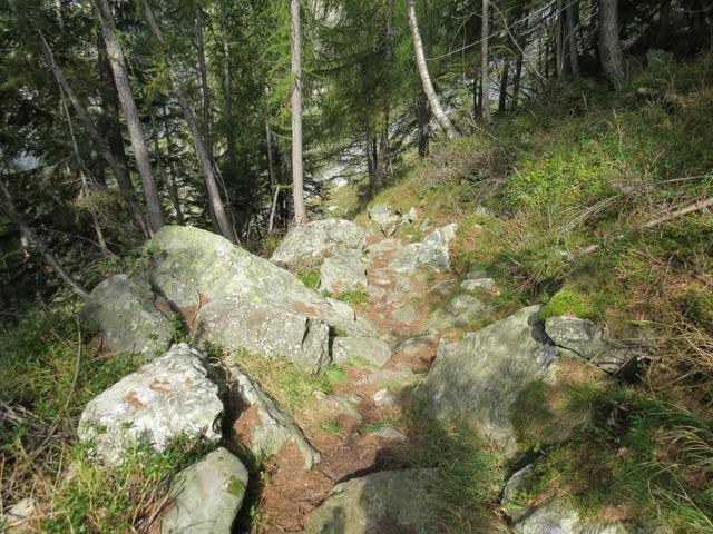 zwischendurch -oh wie schön- geht es über den normalen Wanderweg