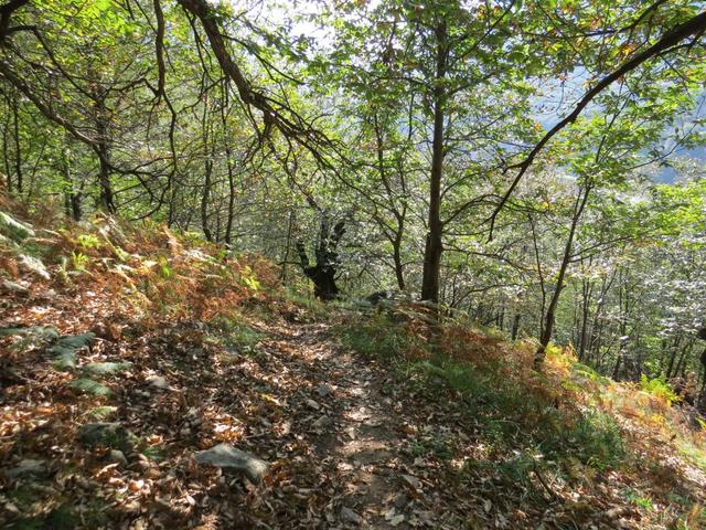 endlich die Baustelle haben wir hinter uns