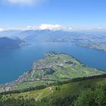 Wanderung Seebodenalp - Rigi - Chänzeli - Altruedisegg - Seebodenalp 24.6.2015