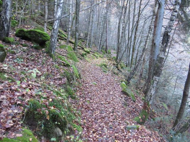 ...immer entlang des Rià (Bach) de Val Cama