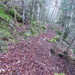 dank der von der Pro Val-Cama angebrachten weiss-roten Markierung ist es...