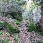 zuerst hoch über den Bach, führt der Weg über Promegn 1002 m.ü.M. nun an seinem Ufer entlang