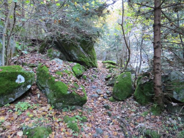 zuerst hoch über den Bach, führt der Weg über Promegn 1002 m.ü.M. nun an seinem Ufer entlang