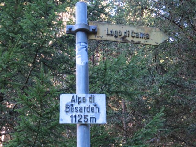 ...und stehen kurz danach auf der verlassenen Alpe di Besarden 1125 m.ü.M.