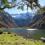 Blick auf den See mit der Felsbasilika des Piz Martèl im Talabschluss