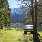 ein letzter Blick zurück und wir machen uns auf dem Heimweg