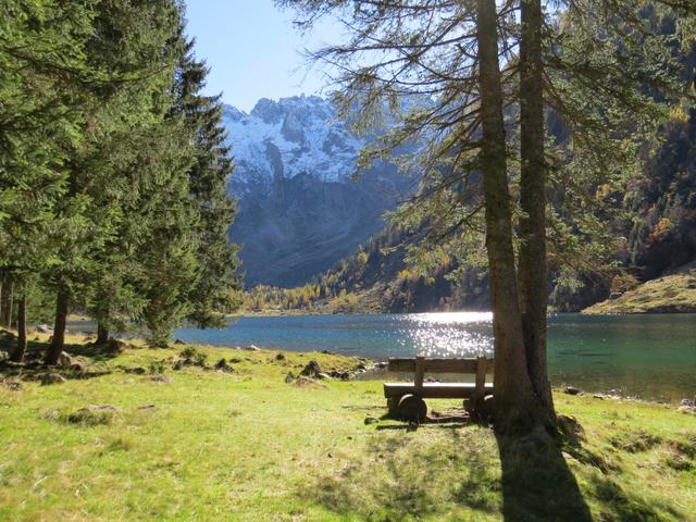 ein letzter Blick zurück und wir machen uns auf dem Heimweg