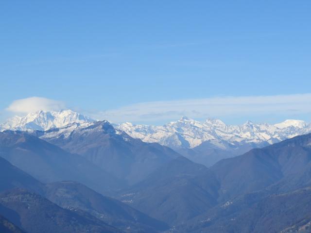 der Blick reicht bis zu den Walliser Eisriesen. Links das Monte Rosa Massiv