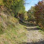 der obere Wanderweg führt uns zumächst sanft ansteigend bergauf...