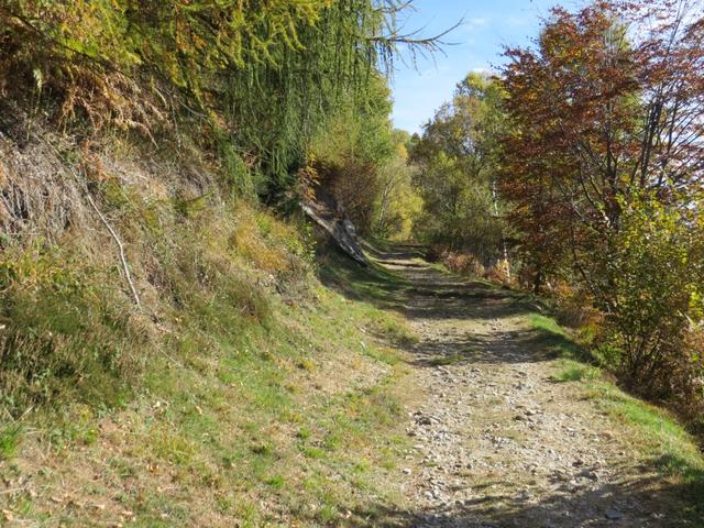 der obere Wanderweg führt uns zumächst sanft ansteigend bergauf...