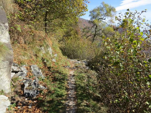 wir bleiben auf dem unteren Panoramaweg, der über das Maiensass Sceres zum gleichen Ziel führt