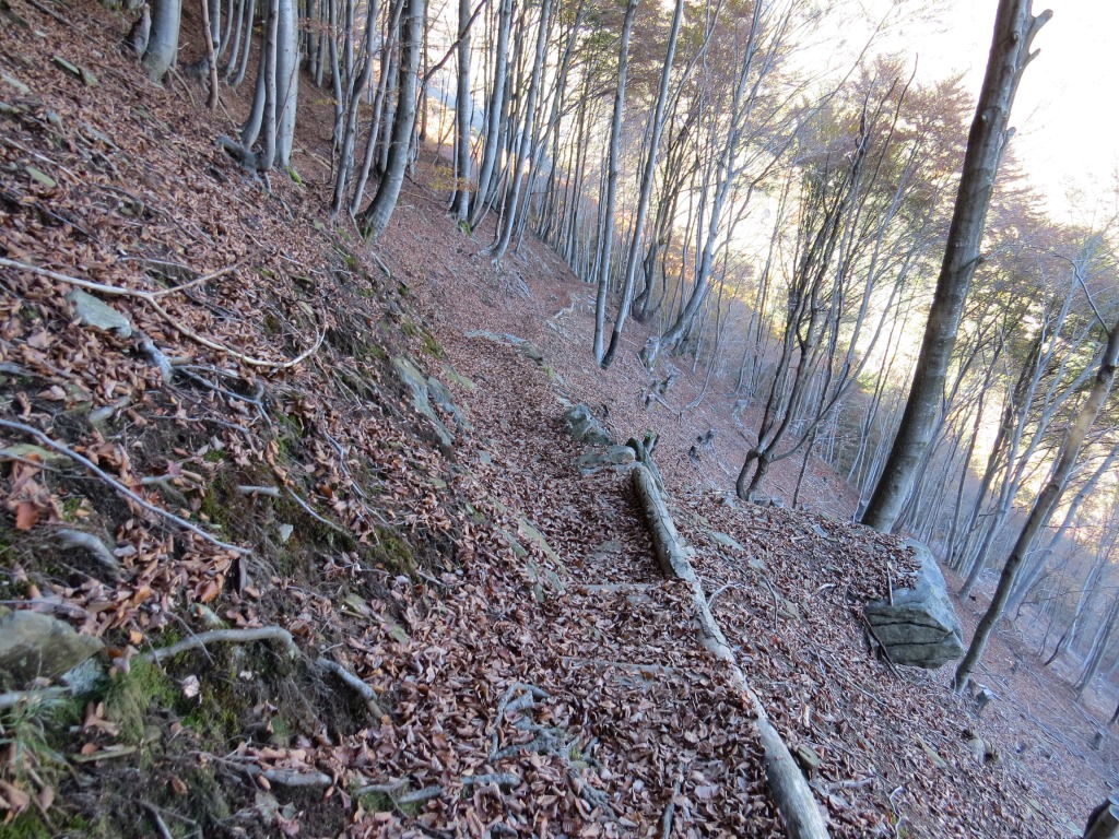 auf einem treppendurchsetzten, wurzel-, laub- und steinreichen Zickzackweg...