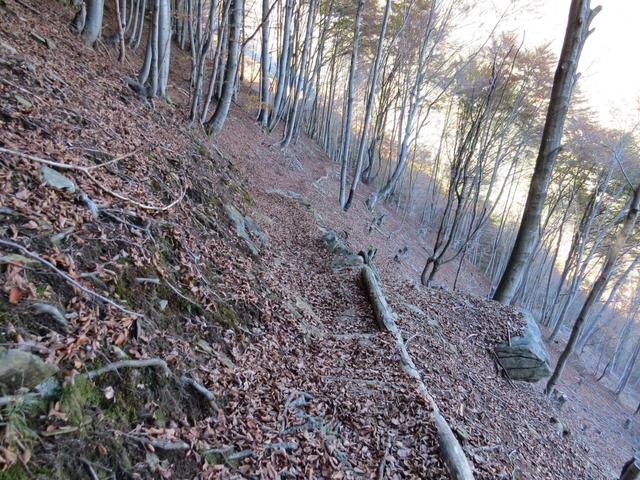 auf einem treppendurchsetzten, wurzel-, laub- und steinreichen Zickzackweg...