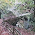 bei Punkt 771 m.ü.M. überschreiten wir auf einer 1920 erbauten Brücke den tosenden Wildbach