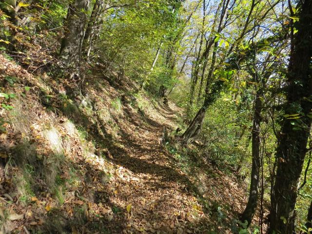 ...wandern wir nun wieder ein Stück hinauf