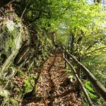 der schön angelegte Pfad führt nun durch einen schönen Laubwald