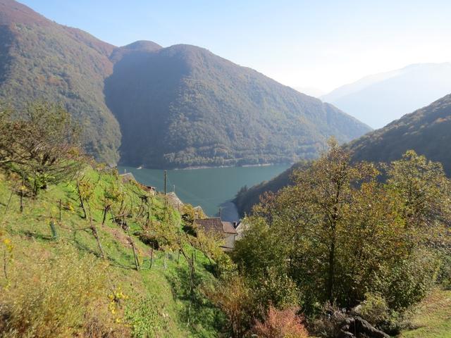 während dem laufen geniessen wir gleichzeitig eine wunderschöne Sicht auf den Stausee