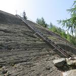 Wanderung Fieschertal - Burghütte 3.7.2015